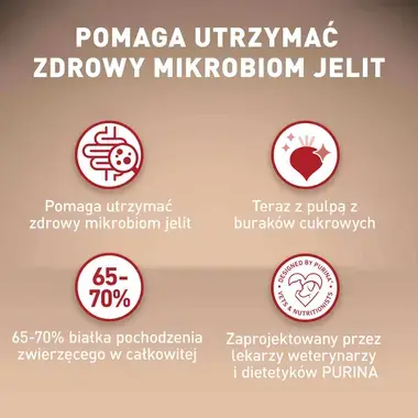 Purina ONE® Mini <10 kg Adult, bogata w wołowinę