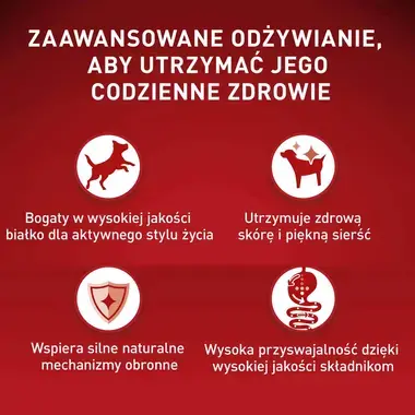 PURINA ONE Mini Adult z Kurczakiem oraz Wołowiną