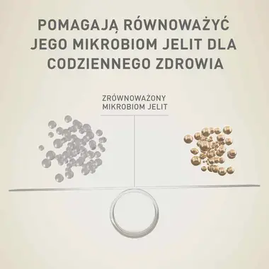 Purina ONE® Mini <10 kg Active z wołowiną