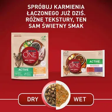 PURINA ONE Mini Active z Wołowiną oraz Kaczką