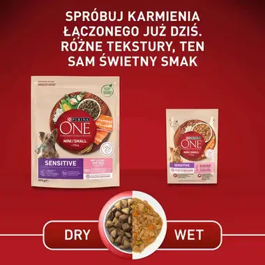 Purina ONE® Mini <10 kg Delicate, z łososiem i ryżem