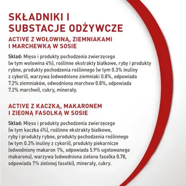 PURINA ONE Mini Active z Wołowiną oraz Kaczką