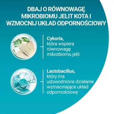 Purina ONE Adult, Bogata w Wołowinę