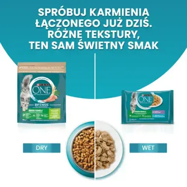 Purina ONE Indoor, Bogata w Indyka i Pełne Ziarna