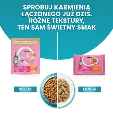 Purina ONE Junior, Bogata w Kurczaka