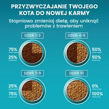 Purina ONE Adult, Bogata w Kurczaka i Pełne Ziarna