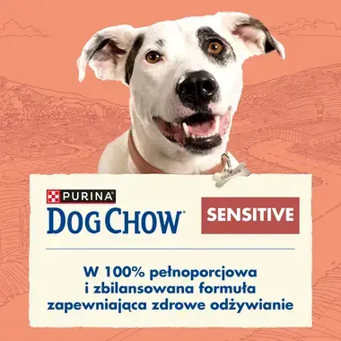 dogchow