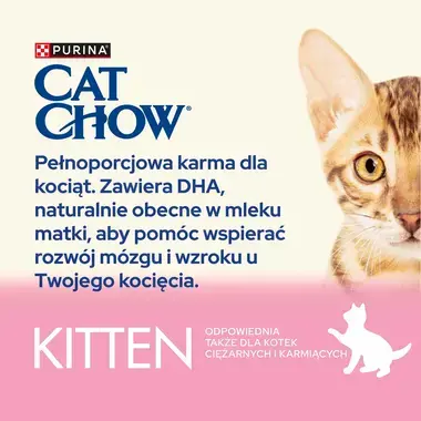 catchow