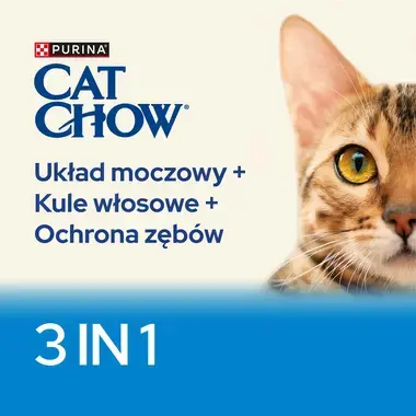 catchow