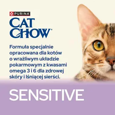 catchow