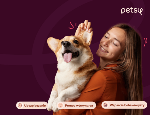 Petsy